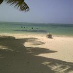 Tobago Beach