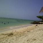 Tobago Beach